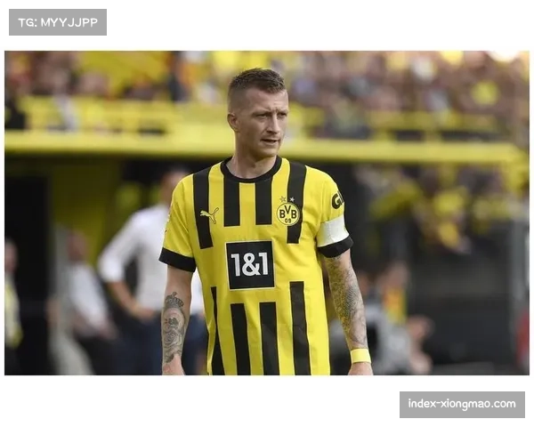 弗赖堡高位逼抢体系成型，中场拦截数据跃居联赛前列